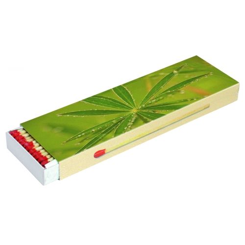 Extra Lange Zündhölzer CAMINO MAXI Frühling/Sommer Schachtelmaß:208x65x21mm;